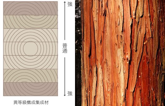 3. 厳選された「エンジニアリングウッド」