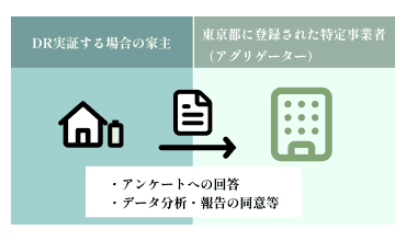 具体的な実証内容(運用)